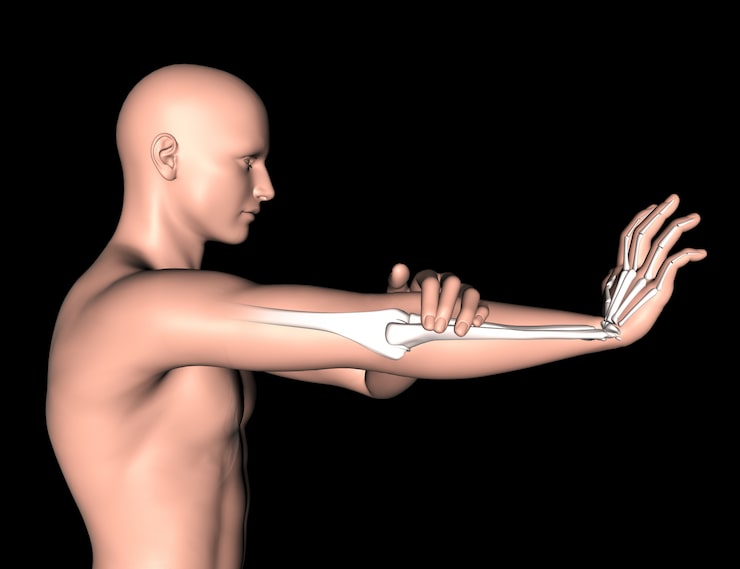 Figura médica 3D con los huesos del brazo resaltados para la evaluación de la muñeca y la mano