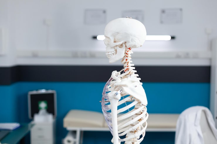 Esqueleto humano en un consultorio clínico equipado para la evaluación de la columna vertebral
